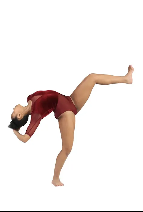 Dream School of Dance Picture 10