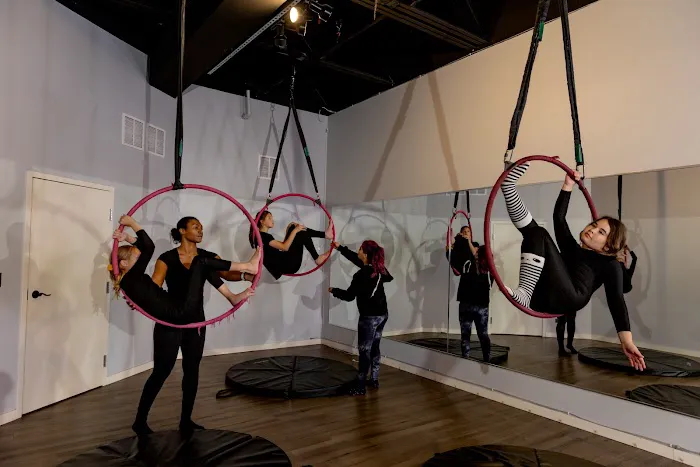 Tease Dance & Fitness | Pole & Aerial Picture 4