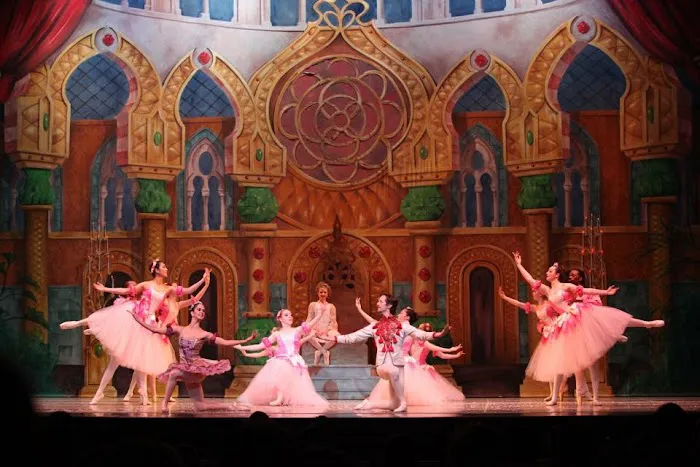VH Dance Center Picture 10