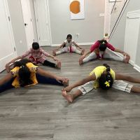 NathyaSindhu Performing Arts Academy ico