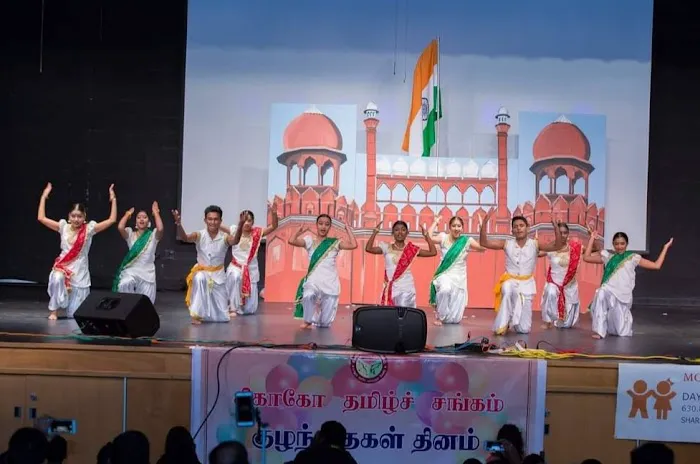 Meera Dance and Arts Picture 3