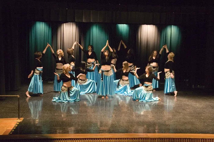 Raksanna Belly Dance Picture 1