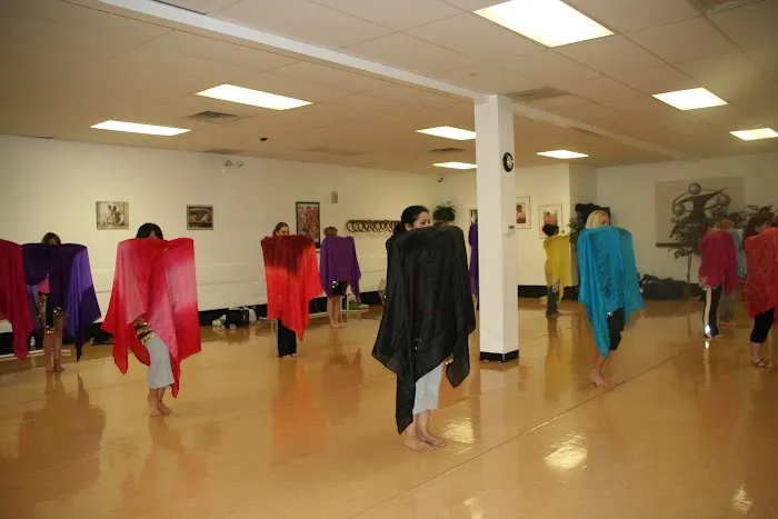 Raksanna Belly Dance Picture 6