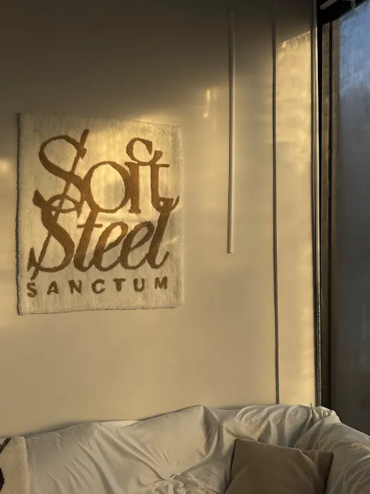 Soft Steel Sanctum Picture 9