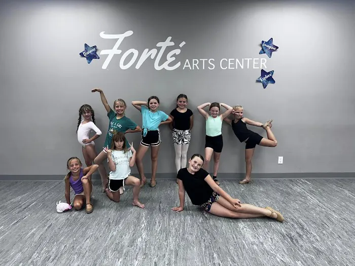 Forte Arts Center Picture 9