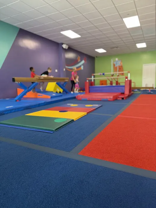 The Little Gym of Naperville Picture 2
