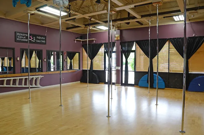 Rondi's S.E.L.F. Fitness & Aerial Dance Studio Picture 8