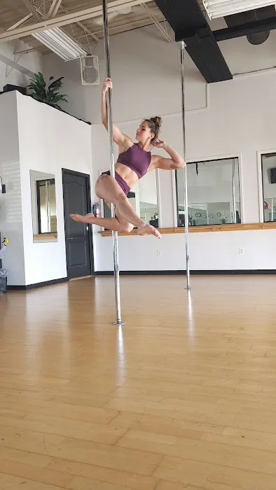 PolElevation Aerial Dance Studio Picture 2