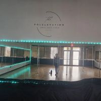PolElevation Aerial Dance Studio ico