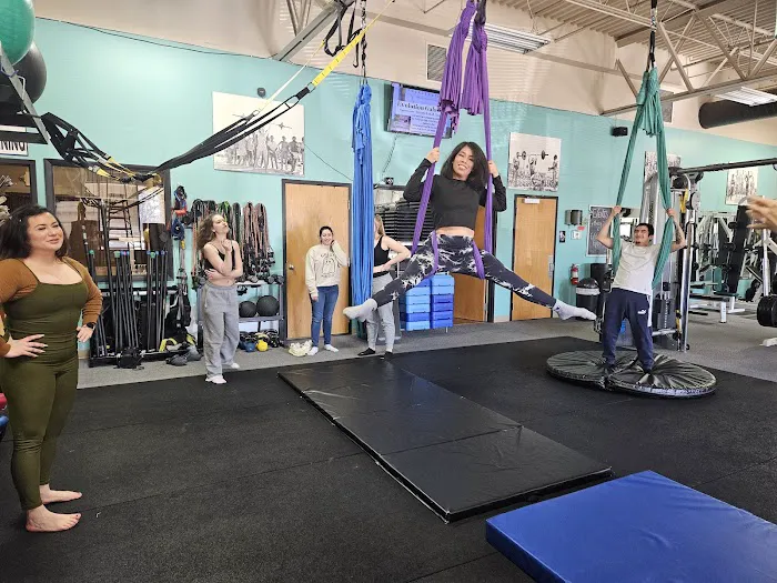 PolElevation Aerial Dance Studio Picture 5