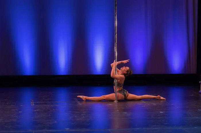 PolElevation Aerial Dance Studio Picture 4
