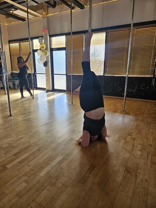 PolElevation Aerial Dance Studio Picture 8