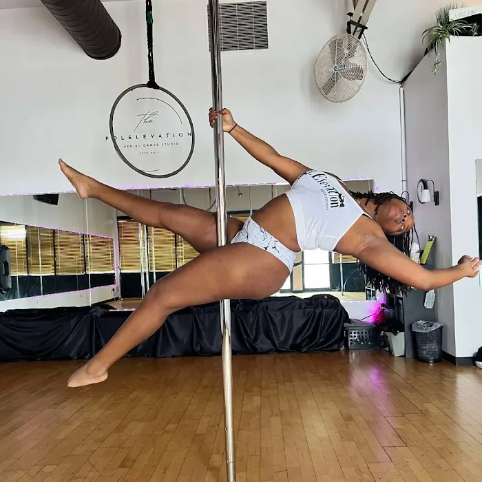 PolElevation Aerial Dance Studio Picture 9