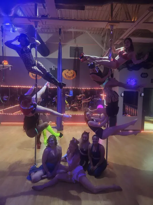 PolElevation Aerial Dance Studio Picture 10