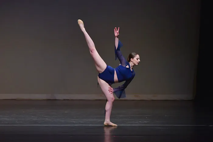 Allegro Picture 2
