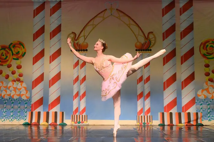 Allegro Picture 4