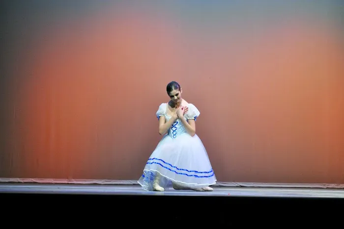 Allegro Picture 9