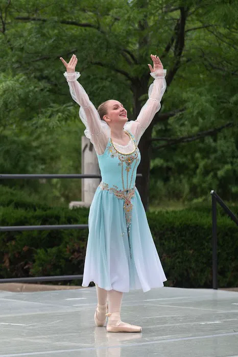Allegro Picture 8