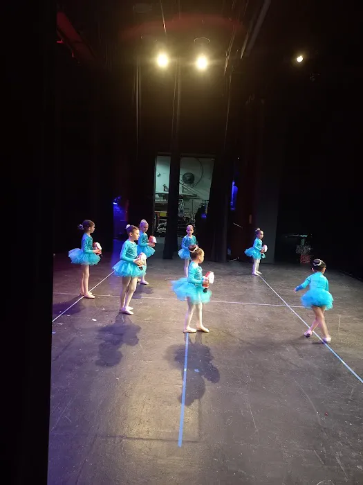 AMA Academy of Performing Arts Picture 6