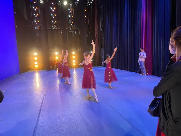 Dance & Music Academy Picture 1