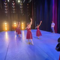 Dance & Music Academy ico