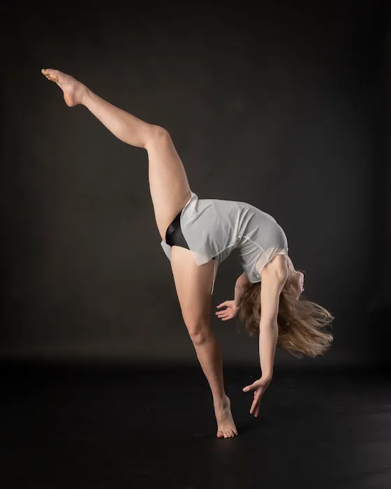 Dance & Music Academy Picture 6