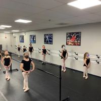 Synergy Dance Academy ico