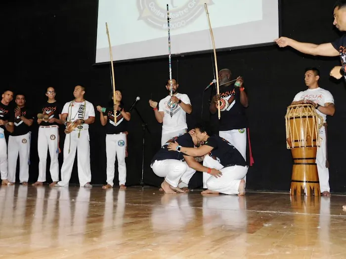 Chicago Capoeira Center Picture 8
