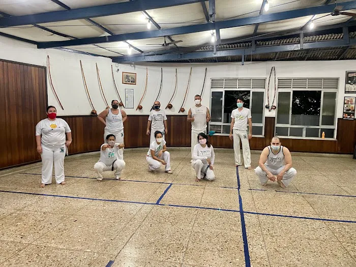 Chicago Capoeira Center Picture 10