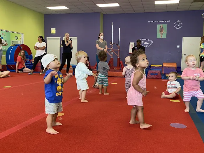 The Little Gym of Chicago Picture 1