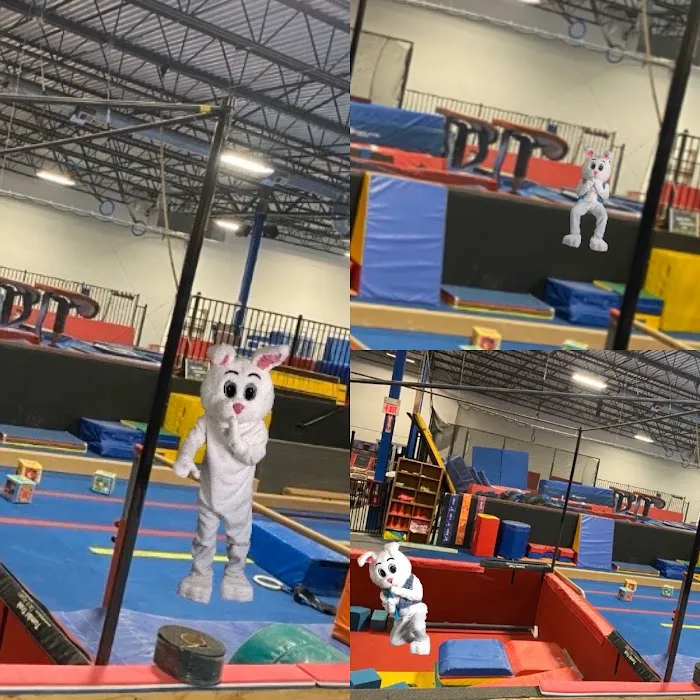 Naperville Gymnastics, Tumbling & Cheer Picture 2