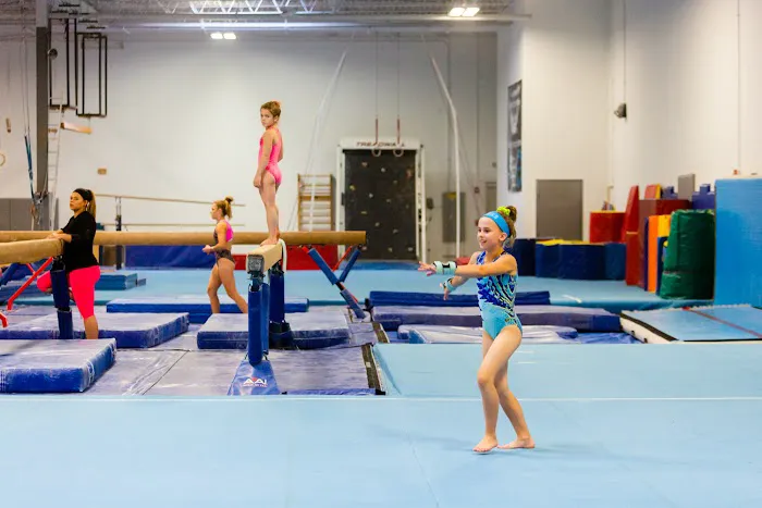 Naperville Gymnastics, Tumbling & Cheer Picture 3