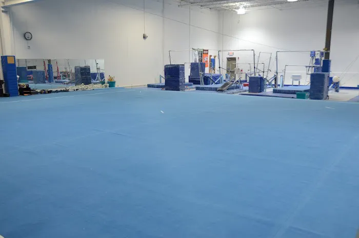 Naperville Gymnastics, Tumbling & Cheer Picture 7