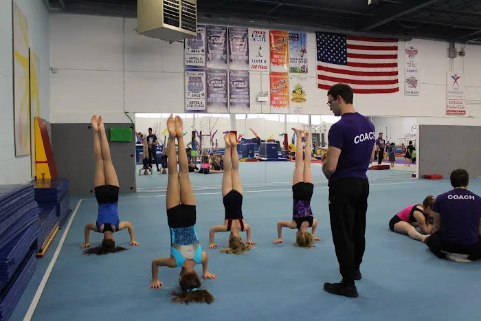 Viking Gymnastics & Dance Picture 1