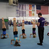 Viking Gymnastics & Dance ico
