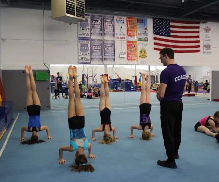 Viking Gymnastics & Dance