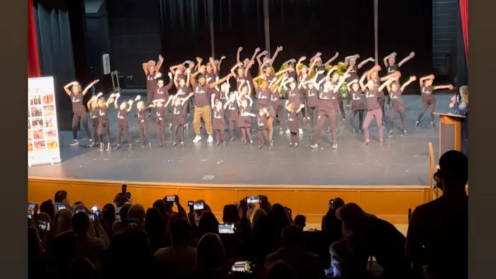 ACADEMIE DE DANSE, INC. Picture 1