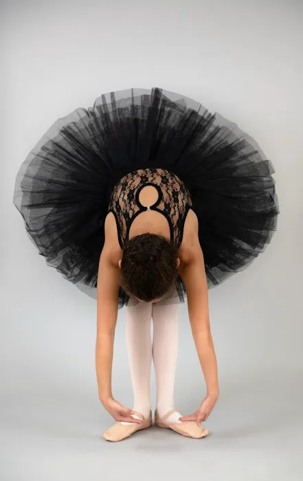 North Suburban School of Dance Picture 5