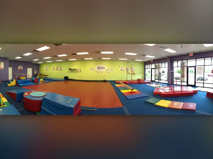 The Little Gym of Glenview Picture 3