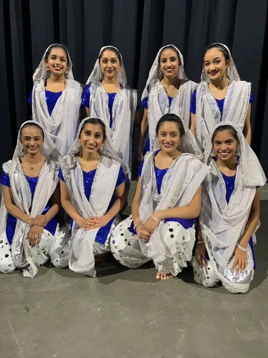 Kalashree Dance Academy Picture 4