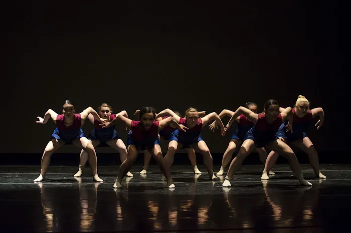Northwest Ballet Academy Picture 3