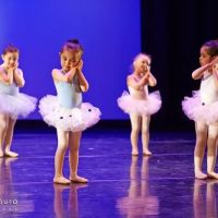 Northwest Ballet Academy ico