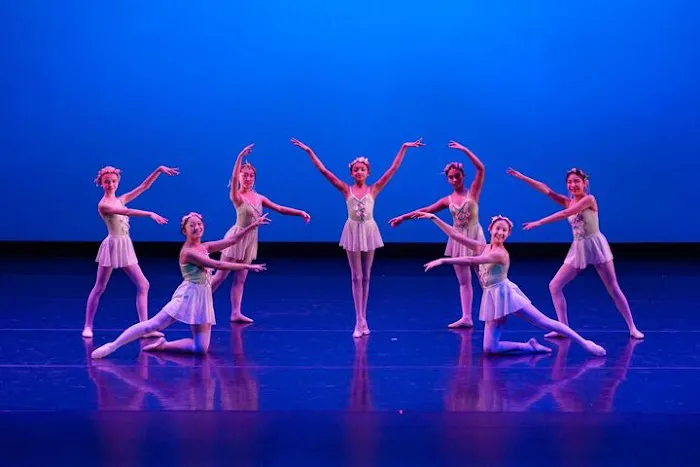 Northwest Ballet Academy Picture 7