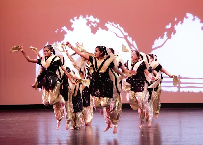 Indian Dance School Picture 4