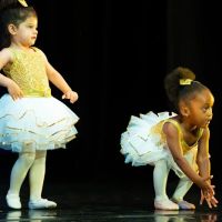 Lisa's School of Dance ico