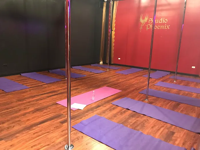 Studio Phoenix, Inc. Picture 2