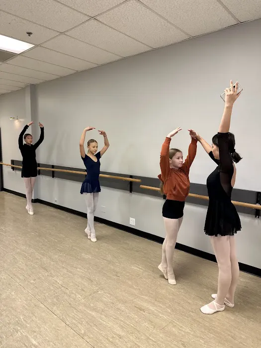 Mazurdance Chicago Picture 1