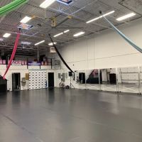 The Dance Loft ico