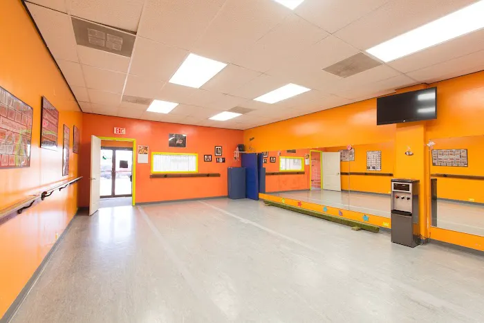 Borne2Dance, Inc. Picture 9