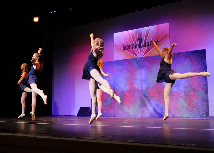 Borne2Dance, Inc. Picture 4